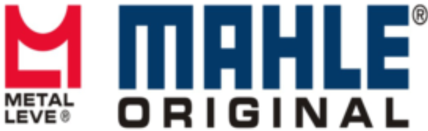 mahle (1)